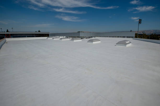 Best Roof Moss and Algae Removal  in Boston Heights, OH