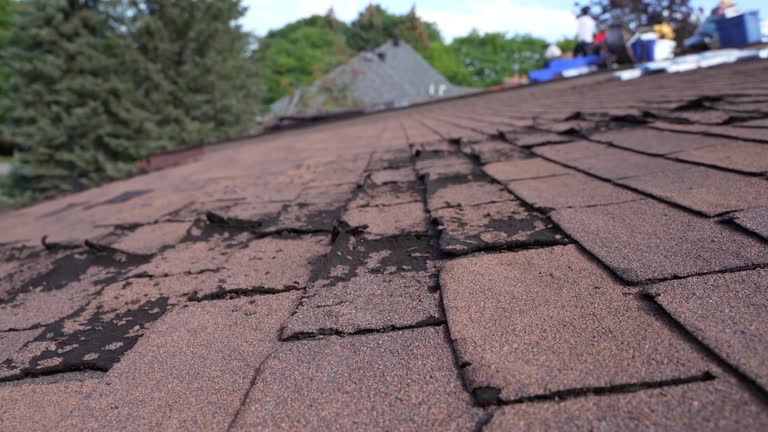 Best Gutter Installation and Repair  in Boston Heights, OH